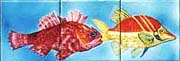 pool-fish-series-1 TN