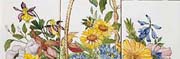 Wild Flowers PanelTN